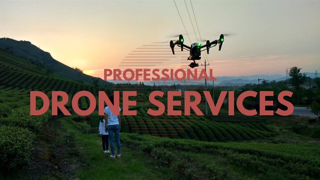 Chongqing Drone Services